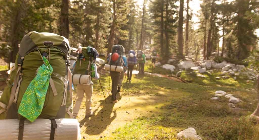 A group of people carrying backpacks hike through a green wooded area. 